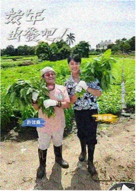 城市寻味档案 美食纪实节目